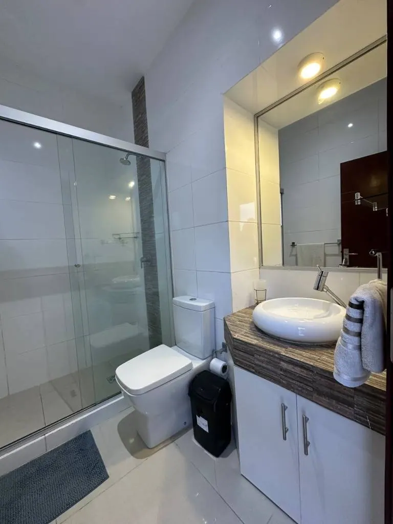 Departamento amoblado de 2 dormitorios en venta, edificio Itaguazú: foto 6 de 12
