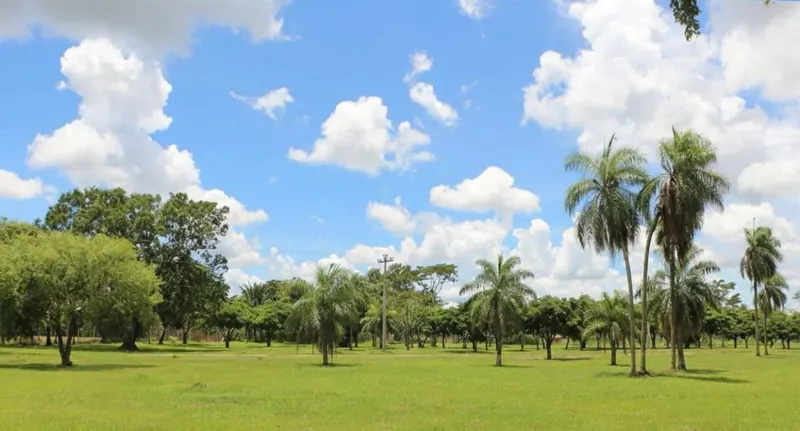Terreno de 300 m² en venta en Complejo Campestre Norte 2, Warnes: foto 2 de 4
