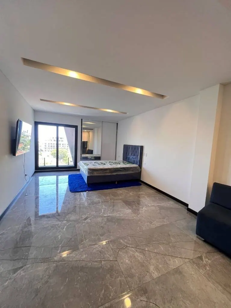 Furnished studio for rent in the Ares By Elite building: foto 2 de 9