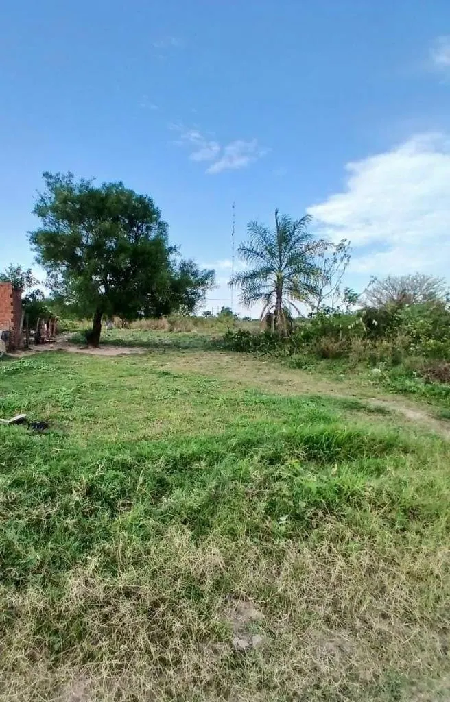Terreno de 300 m² en venta en la urbanización Tavaguazu 2: foto 6 de 6