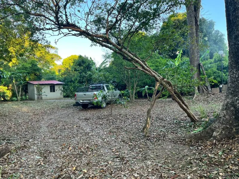 Quinta productiva de 10.464 m² en venta en Porongo, Urubó: foto 2 de 8