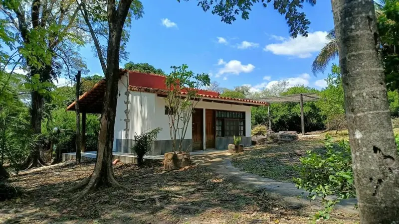 Quinta productiva de 10.464 m² en venta en Porongo, Urubó: foto 3 de 8