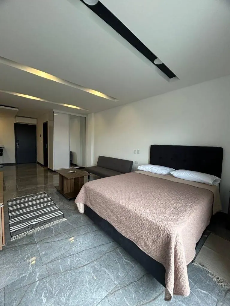 Monoambiente amoblado en venta en el edificio Ares by Élite: foto 3 de 12