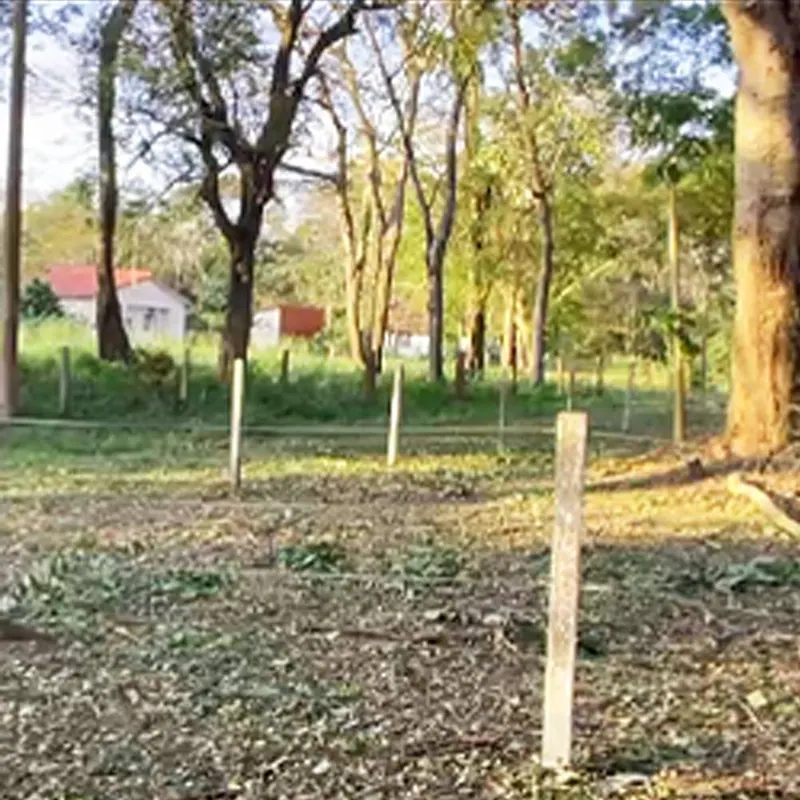 Terreno de 1.601,56 m² en venta en la urbanización El Tajibo, Warnes: foto 4 de 6