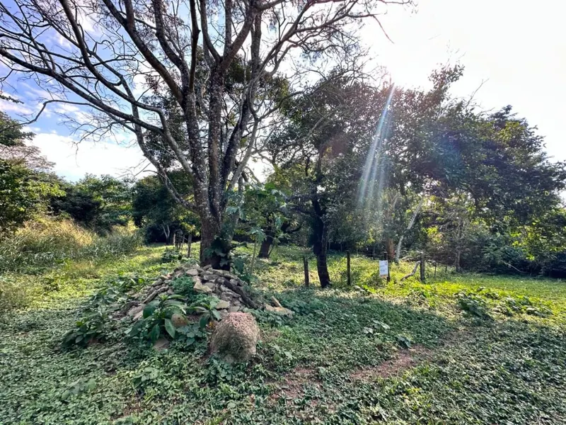 Terreno en esquina de 432,61 m² en venta en Valle Sánchez, Warnes: foto 6 de 10