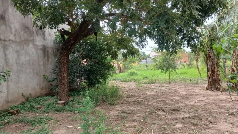Terreno de 359,83 m² en venta sobre la Radial 10, Plan 3000: foto 3 de 7