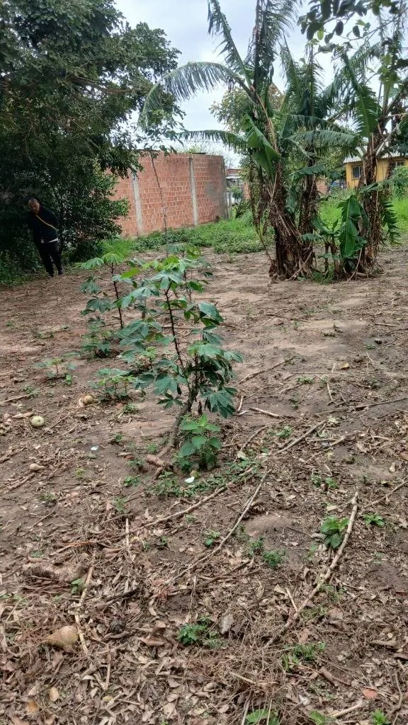 Terreno de 359,83 m² en venta sobre la Radial 10, Plan 3000: foto 5 de 7