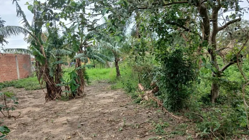Terreno de 359,83 m² en venta sobre la Radial 10, Plan 3000: foto 7 de 7