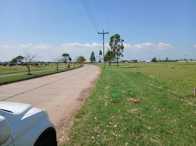 Terreno de 326,04 m² en venta en la urbanización La Herradura: foto 2 de 4