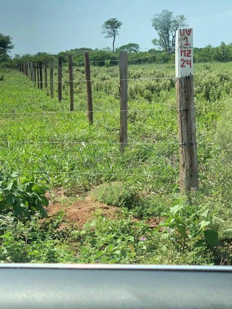 Terrenos de 300 m² en venta en Villa Milagros, zona El Palmar: foto 2 de 6
