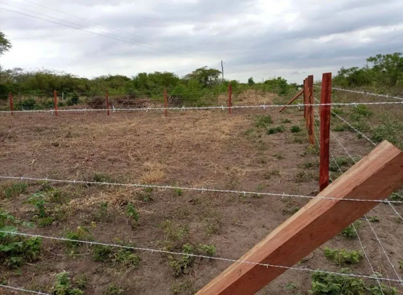 Terrenos en venta en la urbanización Villa Milagros, zona El Palmar: foto 6 de 6