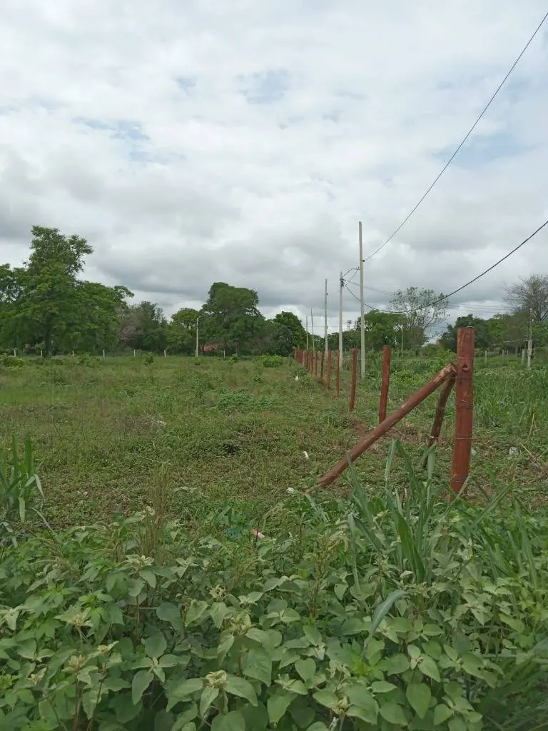 Terrenos en venta en Puerto Quijarro, sobre la Av. El Carmen: foto 3 de 5