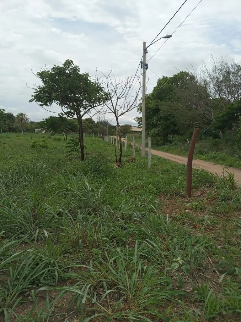 Terreno de 359,89 m² en venta en Puerto Quijarro, Av. El Carmen: foto 3 de 5