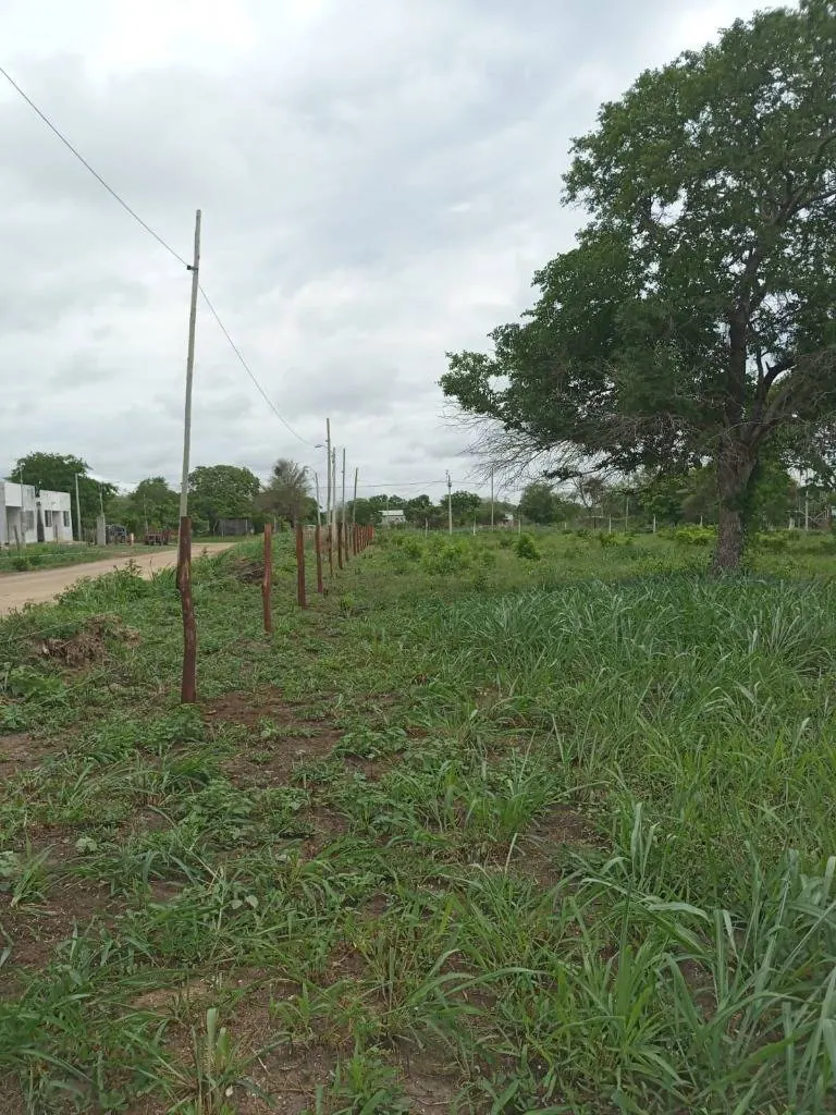 Terreno de 359,89 m² en venta en Puerto Quijarro, Av. El Carmen: foto 4 de 5