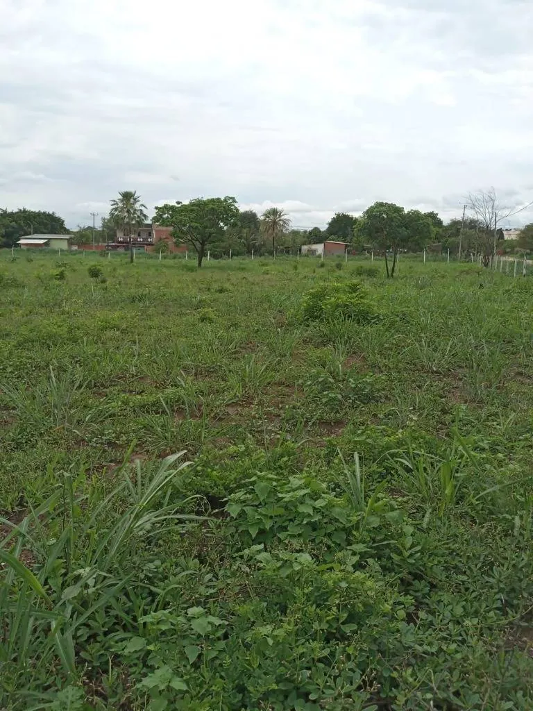 Terrenos en venta en Puerto Quijarro, sobre la Av. El Carmen