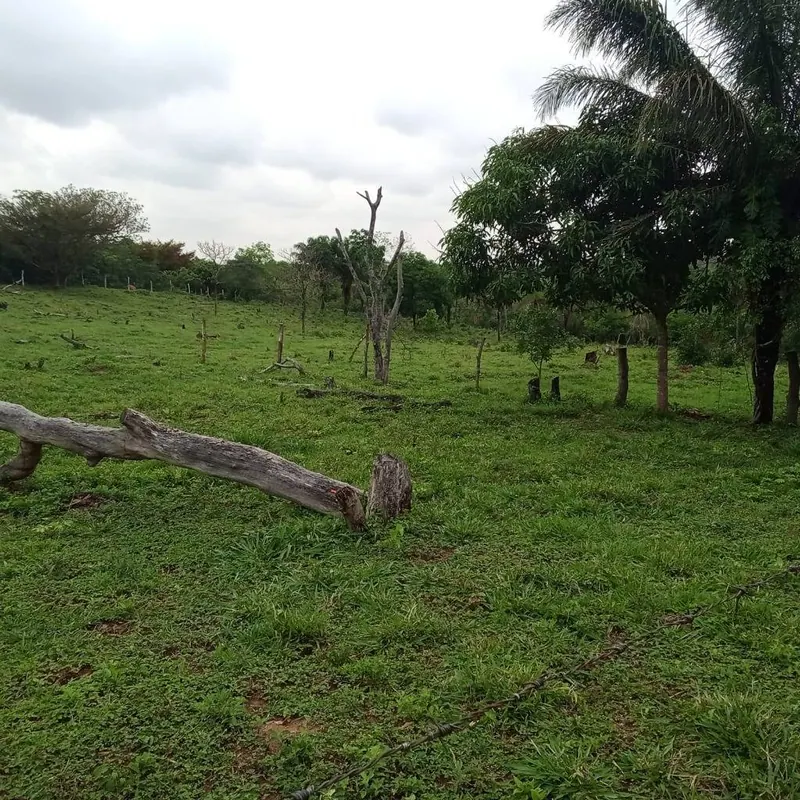Propiedad rural de 17,67 hectáreas en venta en Porongo, Chaco Guembé: foto 2 de 5
