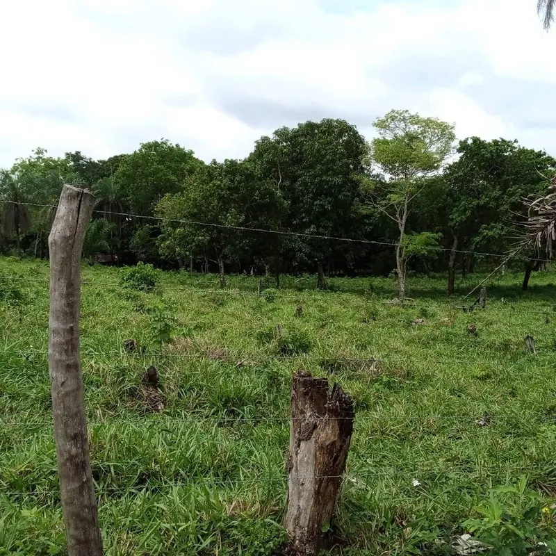 Propiedad rural de 17,67 hectáreas en venta en Porongo, Chaco Guembé: foto 4 de 5