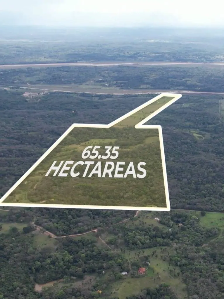 65.34-hectare cattle property for sale in Colpa Bélgica: foto 2 de 6