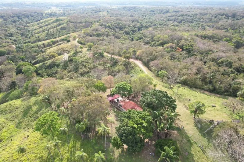 65.34-hectare cattle property for sale in Colpa Bélgica: foto 4 de 6
