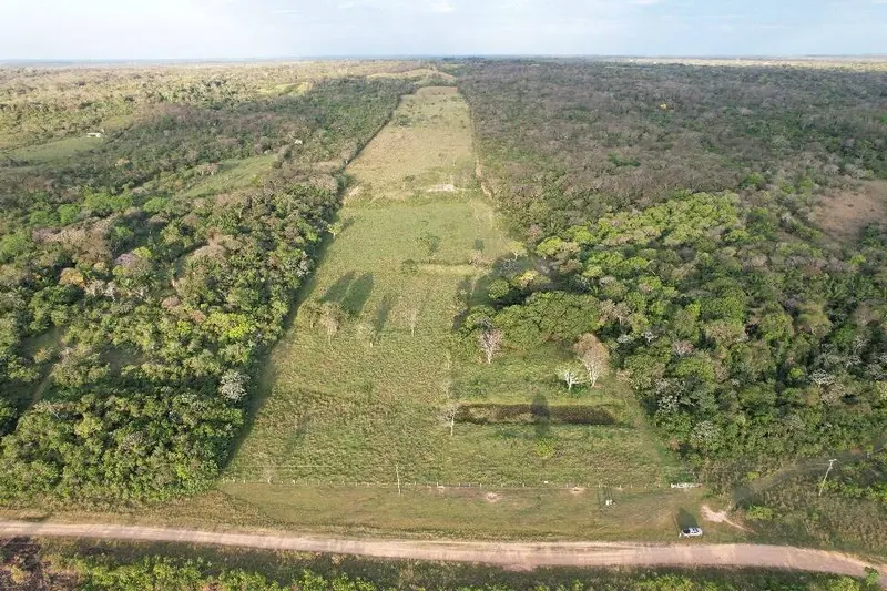 65.34-hectare cattle property for sale in Colpa Bélgica: foto 5 de 6