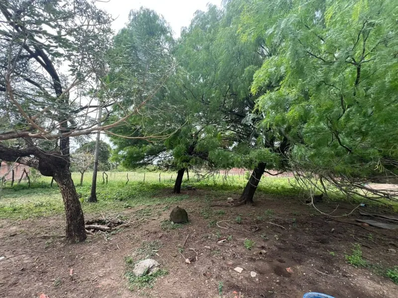 Terreno de 15.893 m² en venta en Palma Verde, Zona Este: foto 4 de 6
