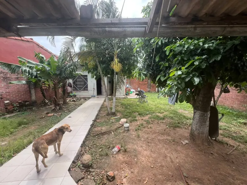 Casa de 2 dormitorios en venta en la zona Trapiche, Zona Este: foto 3 de 5