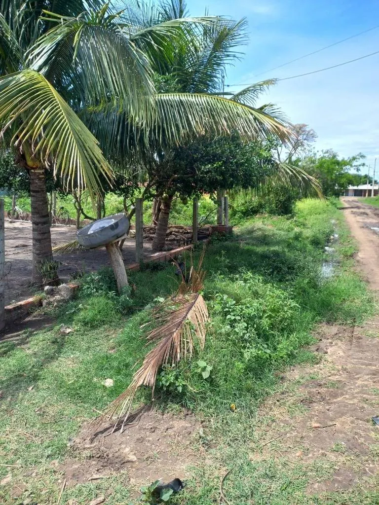 Casa en venta en Cotoca, terreno de 311 m²: foto 5 de 5
