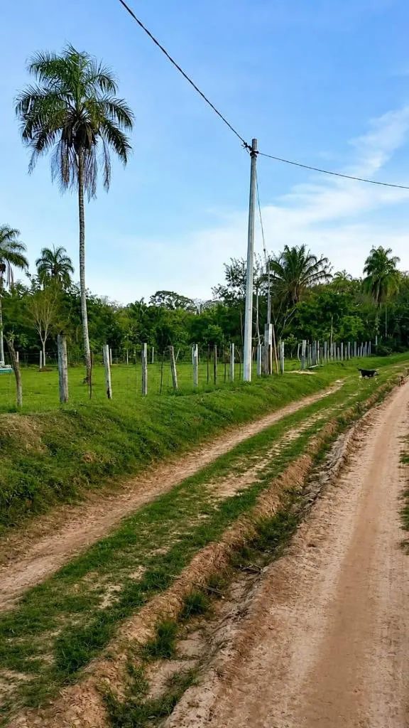 Propiedad rural en venta en el Urubó, apta para urbanización: foto 1 de 4