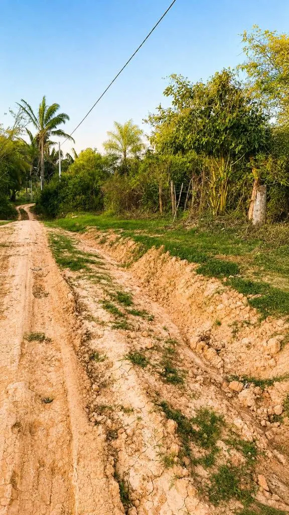 Propiedad rural en venta en el Urubó, apta para urbanización: foto 3 de 4