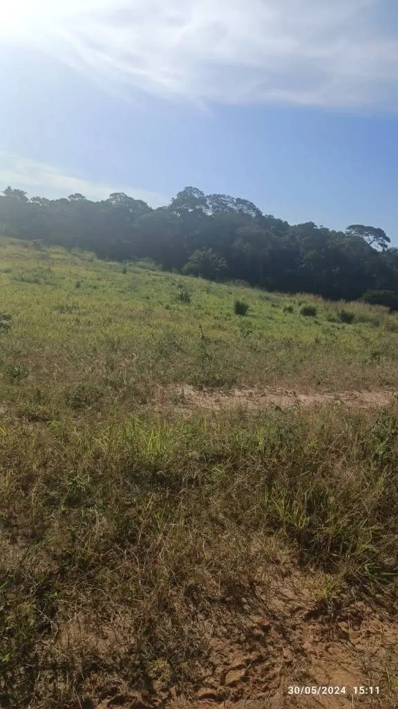 Terreno de 423,89 m² en venta en Complejo Campestre Urubó 2: foto 2 de 5