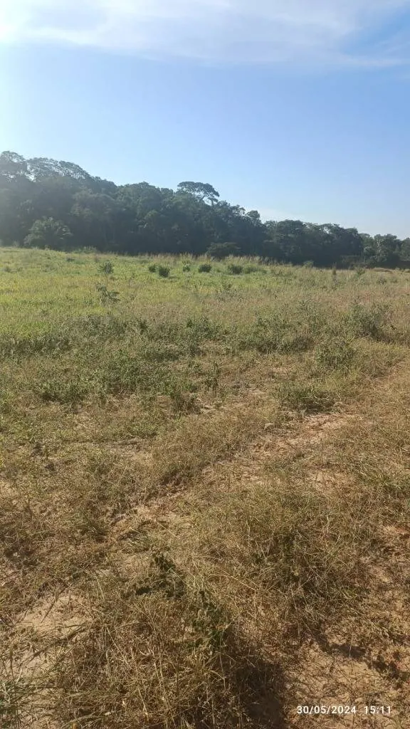 Terreno de 423,89 m² en venta en Complejo Campestre Urubó 2: foto 4 de 5