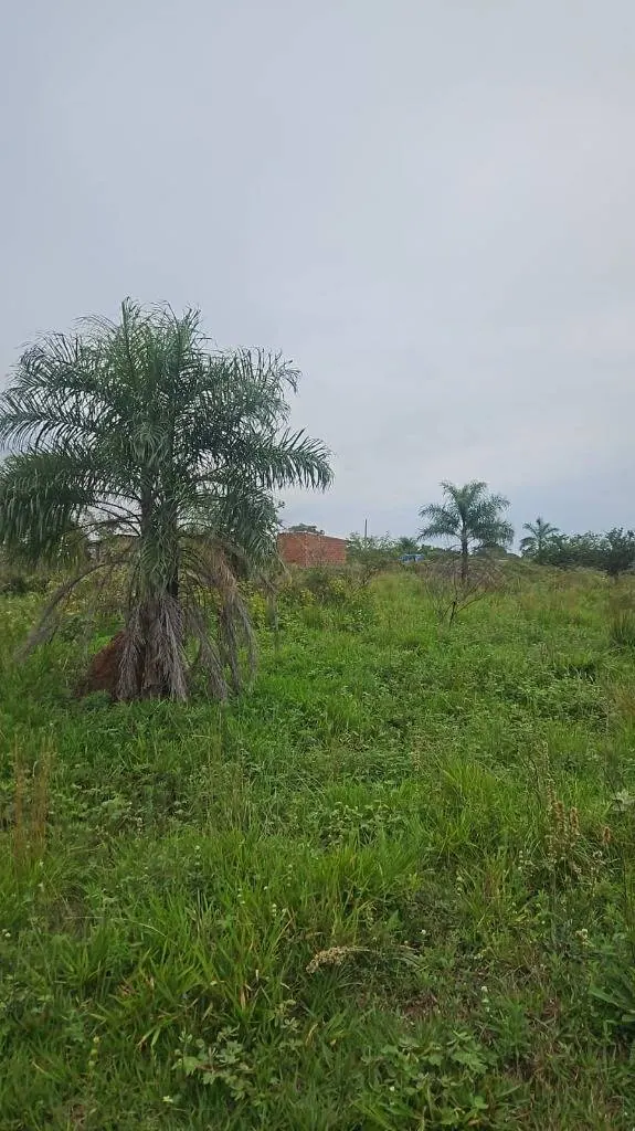 300 m² lot for sale in the Tavaguasu II development: foto 2 de 4