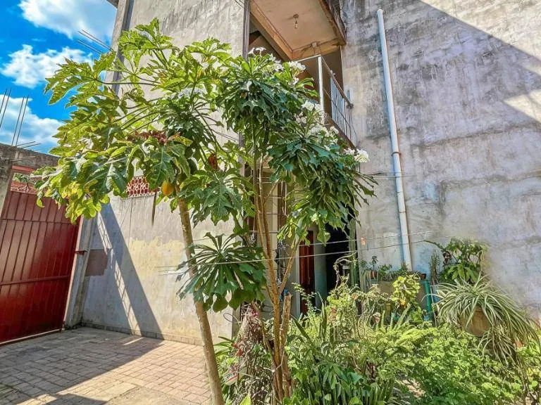 Casa de uso comercial en esquina en venta en la Av. Tarumá, Zona Oeste: foto 14 de 14