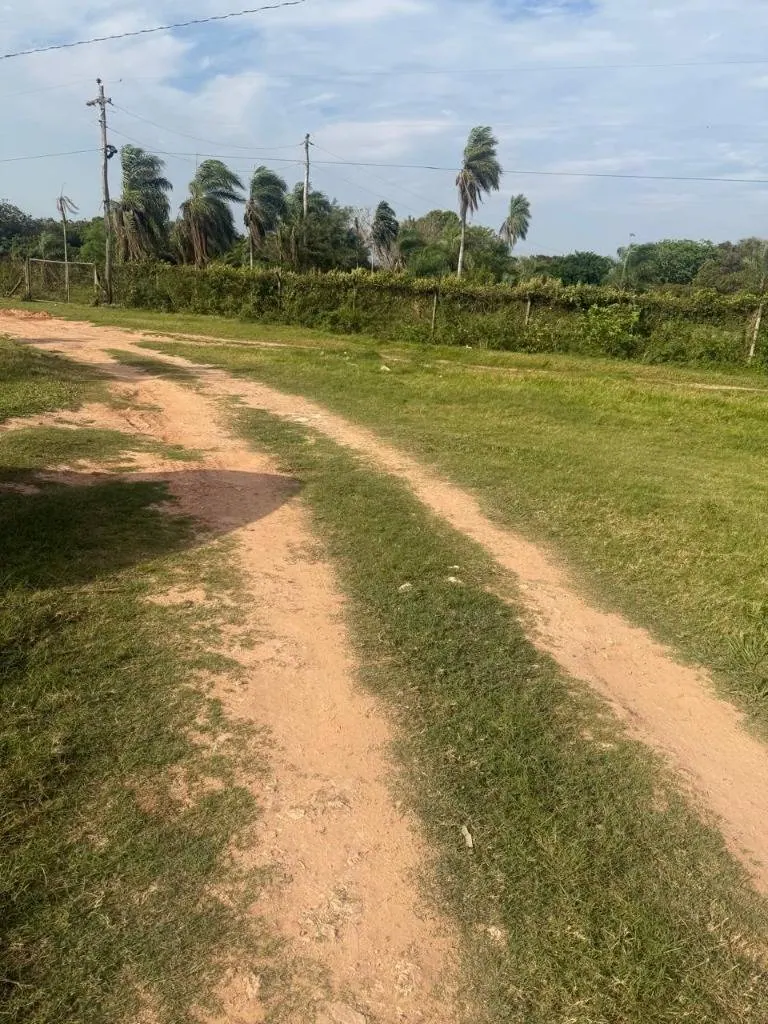 Terreno de 50.000 m² en venta en Cotoca, a 50 m de la carretera: foto 1 de 2