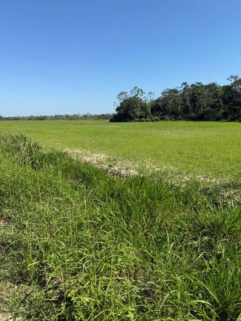 Terreno de 50.000 m² en venta en Cotoca, a 50 m de la carretera: foto 2 de 2
