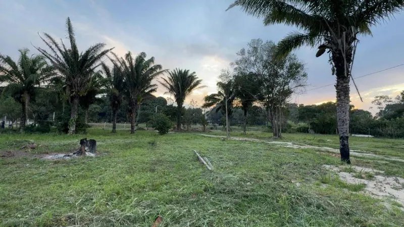 Quinta de 1,5 ha en venta en Portachuelo: foto 5 de 10