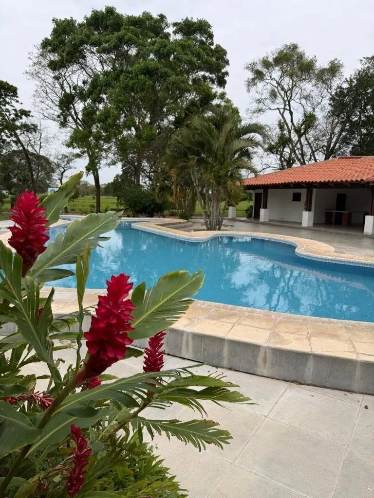 Terreno de 305,35 m² en venta en Centro Campestre Norte 2, Warnes: foto 7 de 9