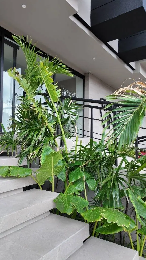Studio apartment for sale in the Stratto VIND building, North Zone: foto 14 de 15