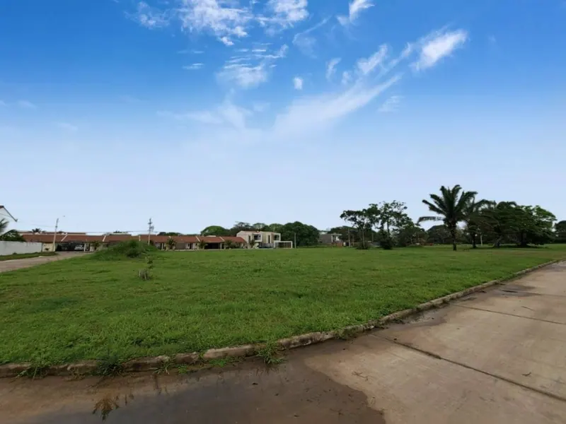 Brand-new 3-bedroom house for sale in Palmas del Norte: foto 13 de 14