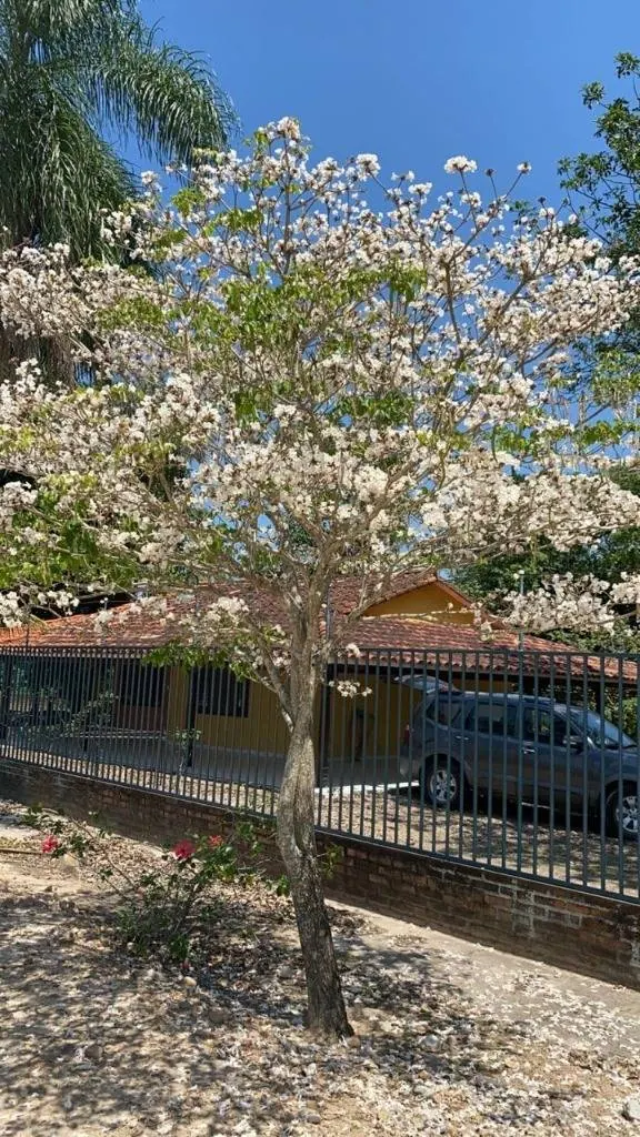 Casa en venta en San Carlos, terreno de 1.319 m²: foto 2 de 3