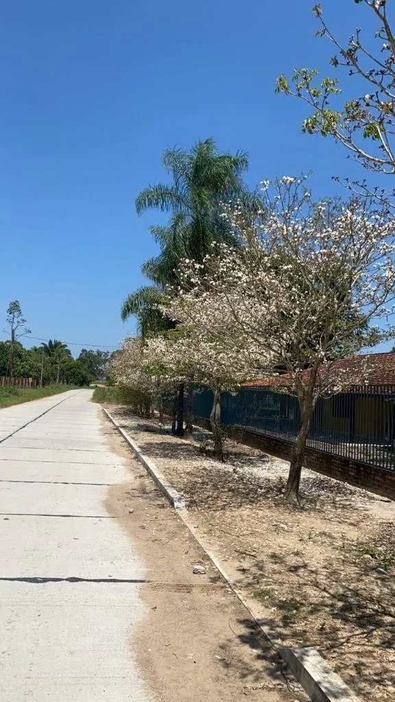 Casa en venta en San Carlos, terreno de 1.319 m²: foto 3 de 3