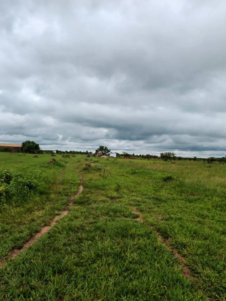 Corner lot of 511.47 m² for sale in the Celina 7 development