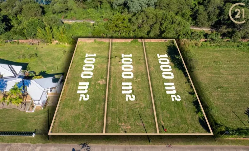 Terreno de 1.000 m² en venta en Urbanización El Carmen, Zona Norte: foto 2 de 5
