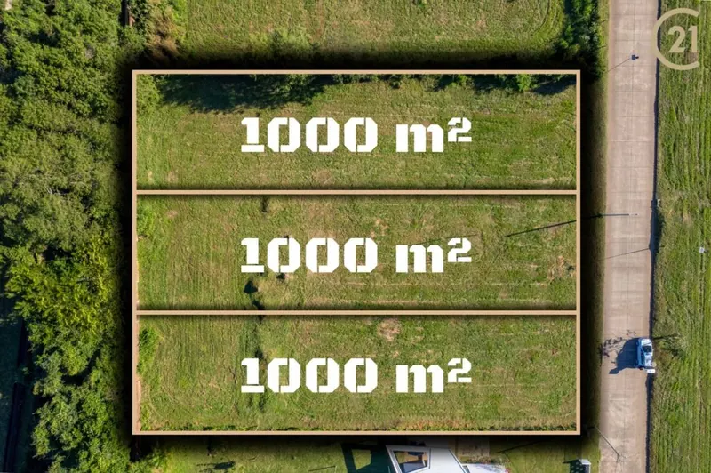 Terreno de 1.000 m² en venta en Urbanización El Carmen, Zona Norte: foto 4 de 5