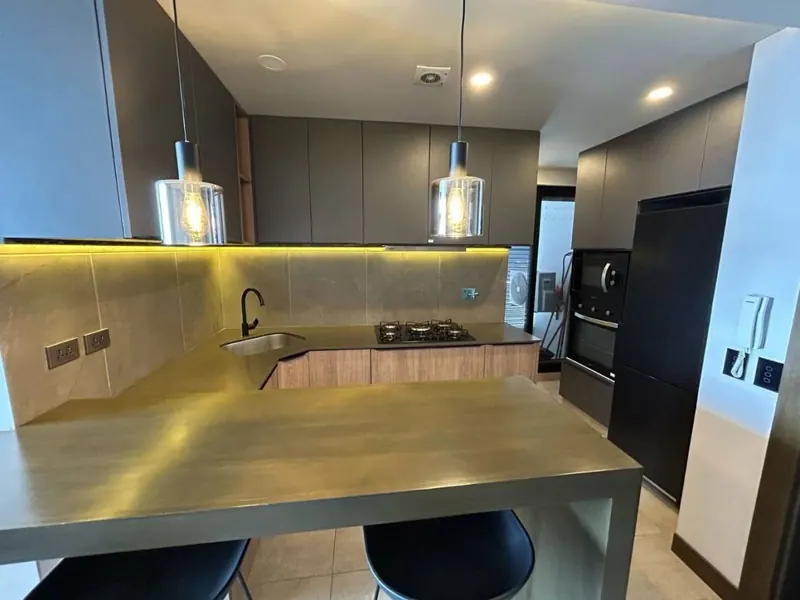 Departamento amoblado de 1 dormitorio en alquiler en Aqua Tower: foto 10 de 12