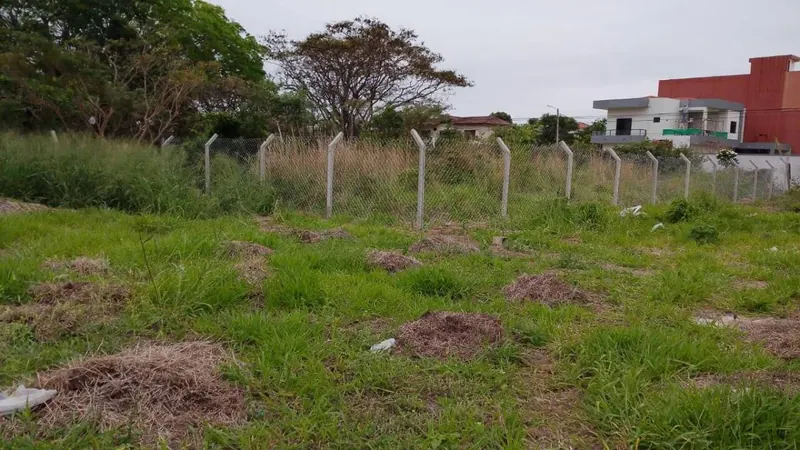 975 m² corner lot for rent in the West Zone: foto 3 de 5