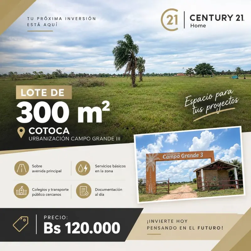 300 m² lot for sale in the Campo Grande III development: foto 2 de 4