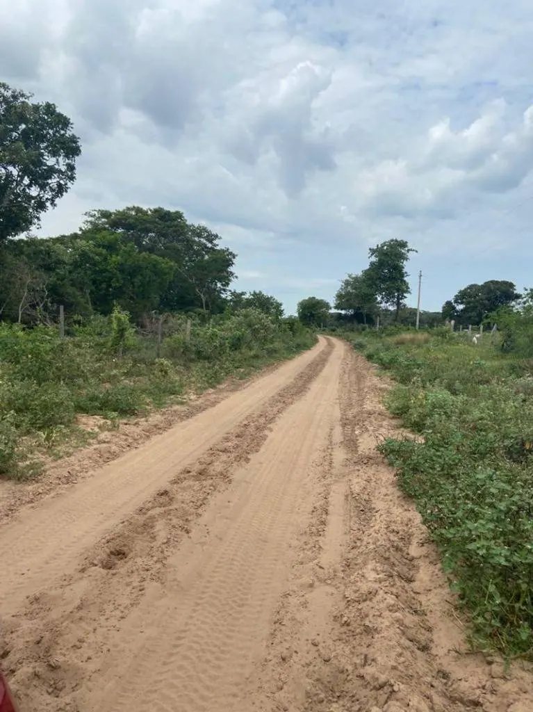75.87-hectare rural property for sale 7 km from Paurito: foto 5 de 9