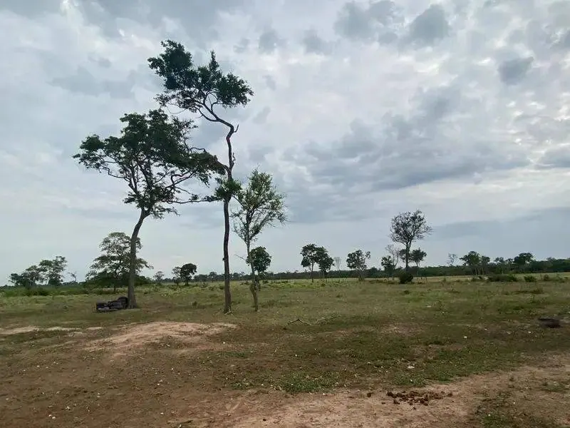 75.87-hectare rural property for sale 7 km from Paurito: foto 6 de 9