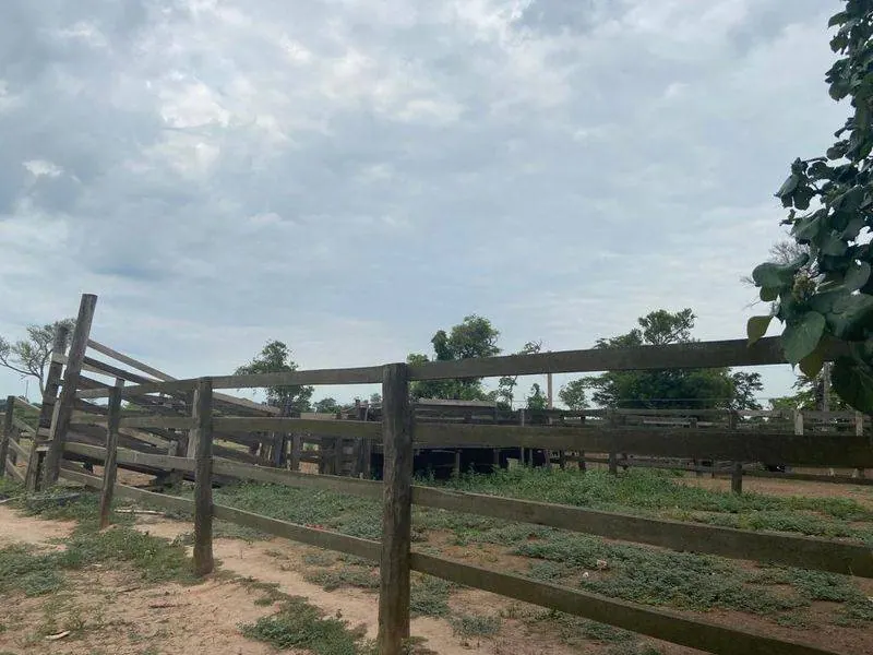75.87-hectare rural property for sale 7 km from Paurito: foto 7 de 9